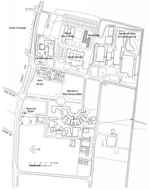 Plan of Marconi site